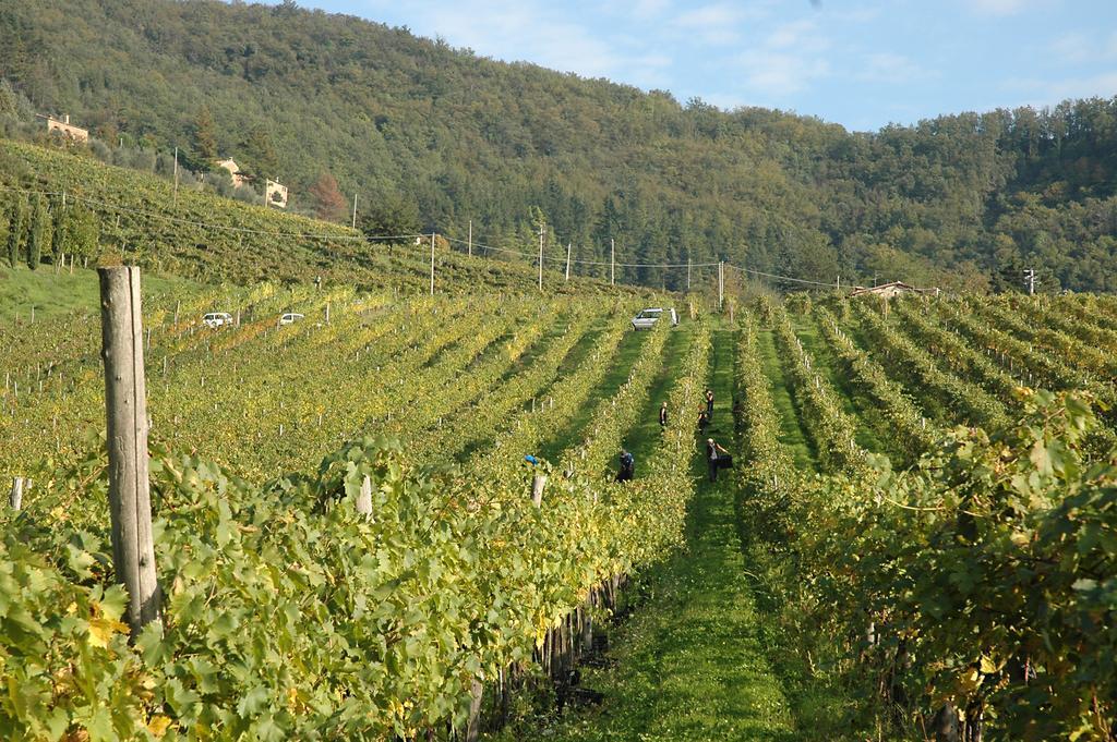 Fattoria Il Lago Dicomano Exterior foto